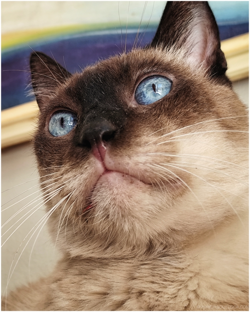 Studio-One.Art.br Repo Fotografia em Rio Preto SP/Brasil