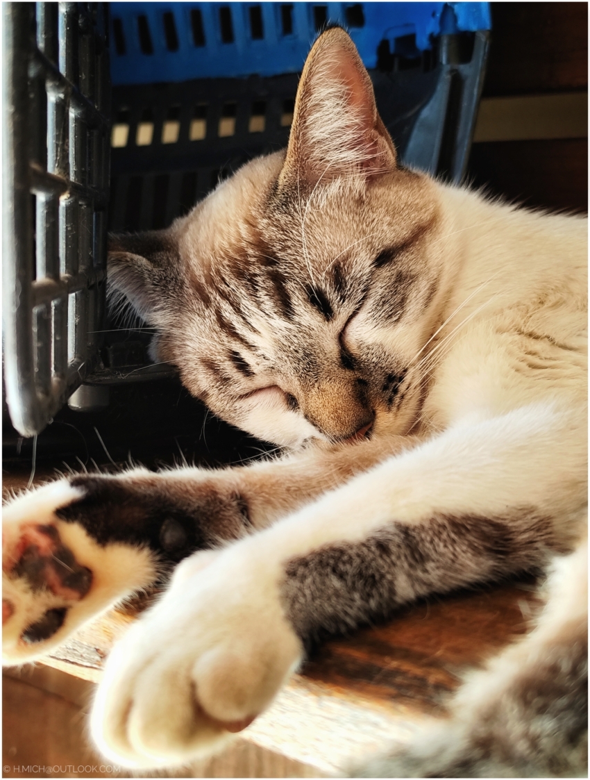 Studio-One.Art.br Repo Fotografia em Rio Preto SP/Brasil