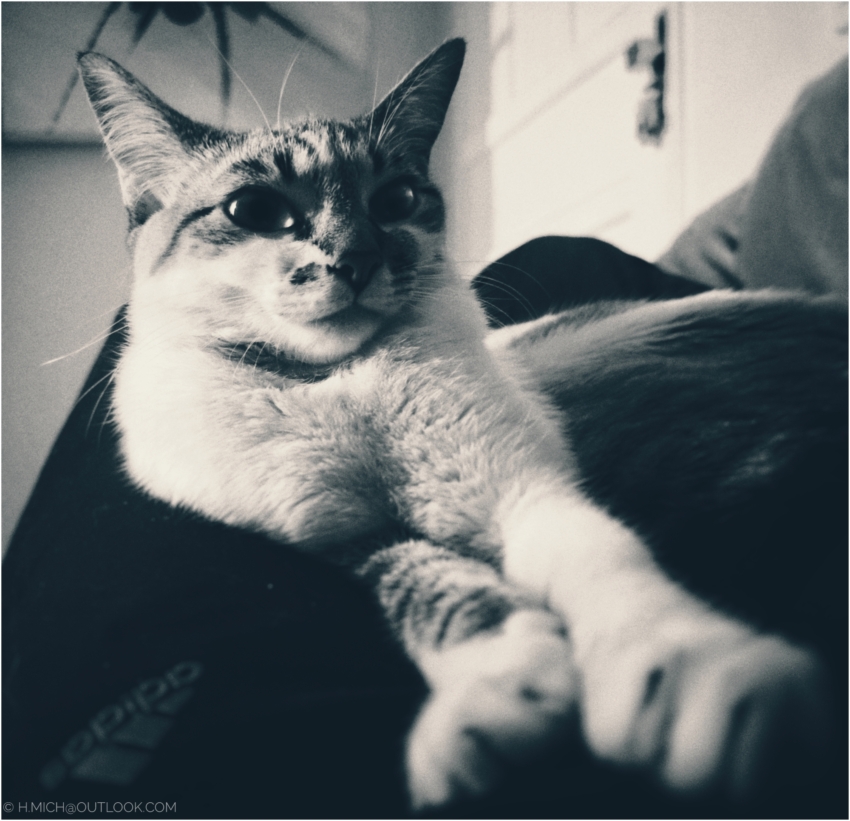 Studio-One.Art.br Repo Fotografia em Rio Preto SP/Brasil