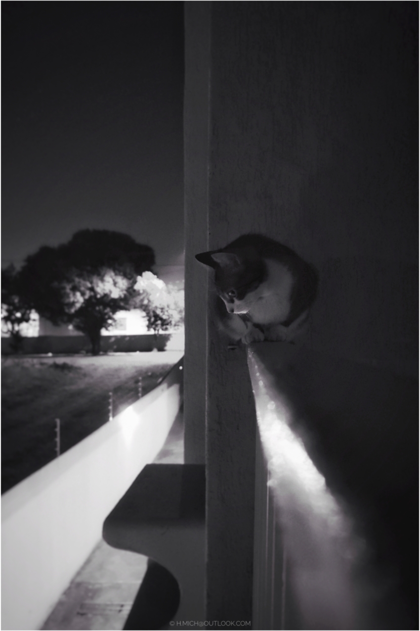 Studio-One.Art.br Repo Fotografia em Rio Preto SP/Brasil