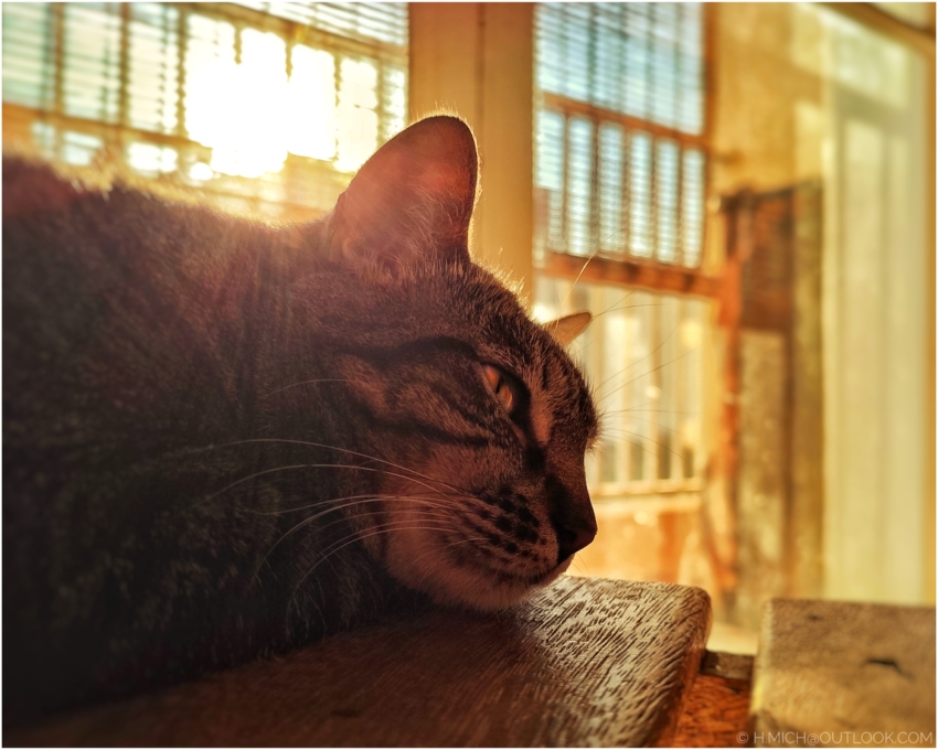 Studio-One.Art.br Repo Fotografia em Rio Preto SP/Brasil