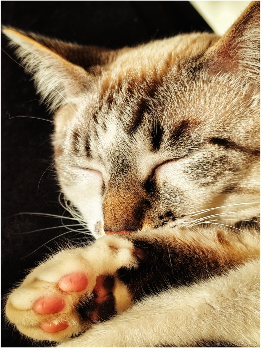 Studio-One.Art.br Repo Fotografia em Rio Preto SP/Brasil