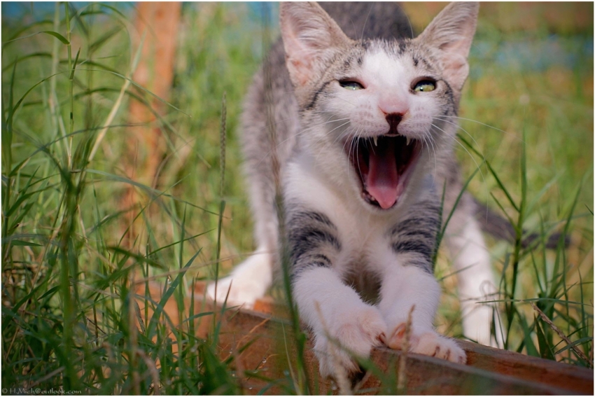 Studio-One.Art.br Repo Fotografia em Rio Preto SP/Brasil