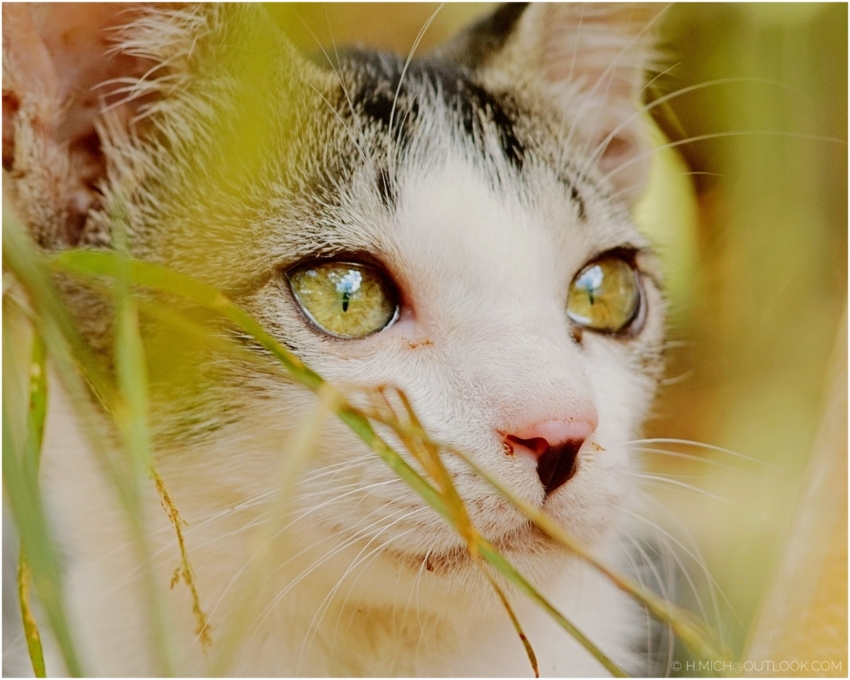 Studio-One.Art.br Repo Fotografia em Rio Preto SP/Brasil