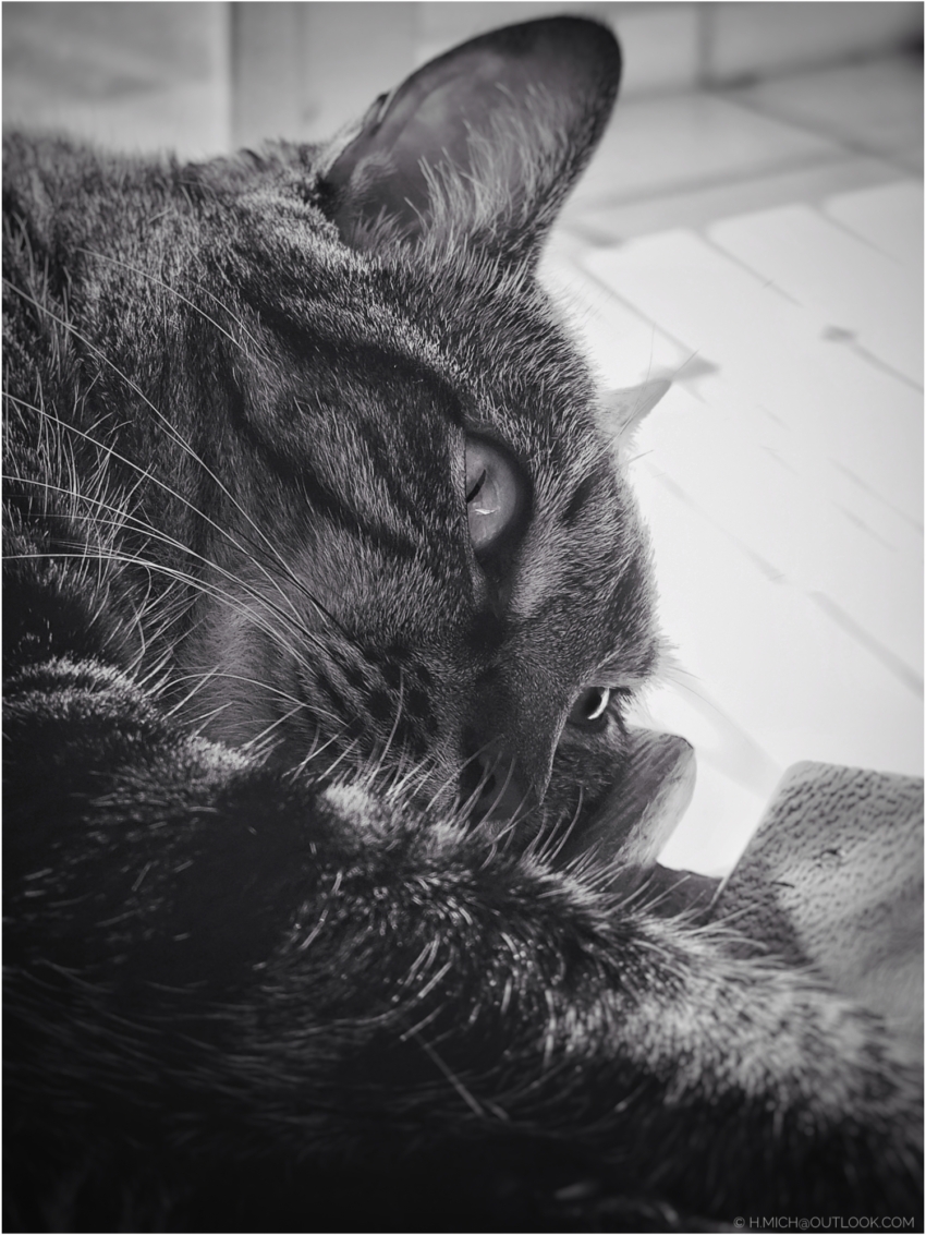 Studio-One.Art.br Repo Fotografia em Rio Preto SP/Brasil