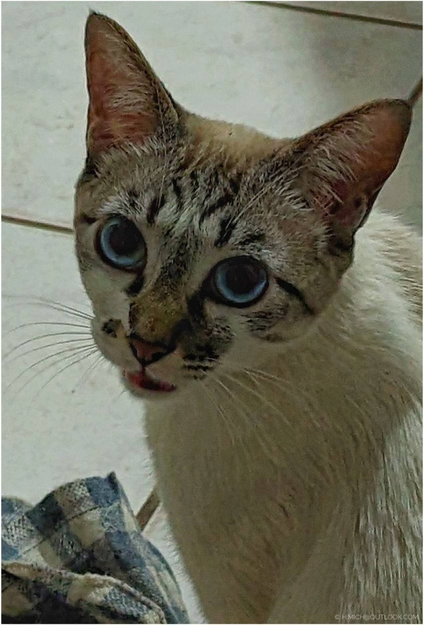 Studio-One.Art.br Repo Fotografia em Rio Preto SP/Brasil