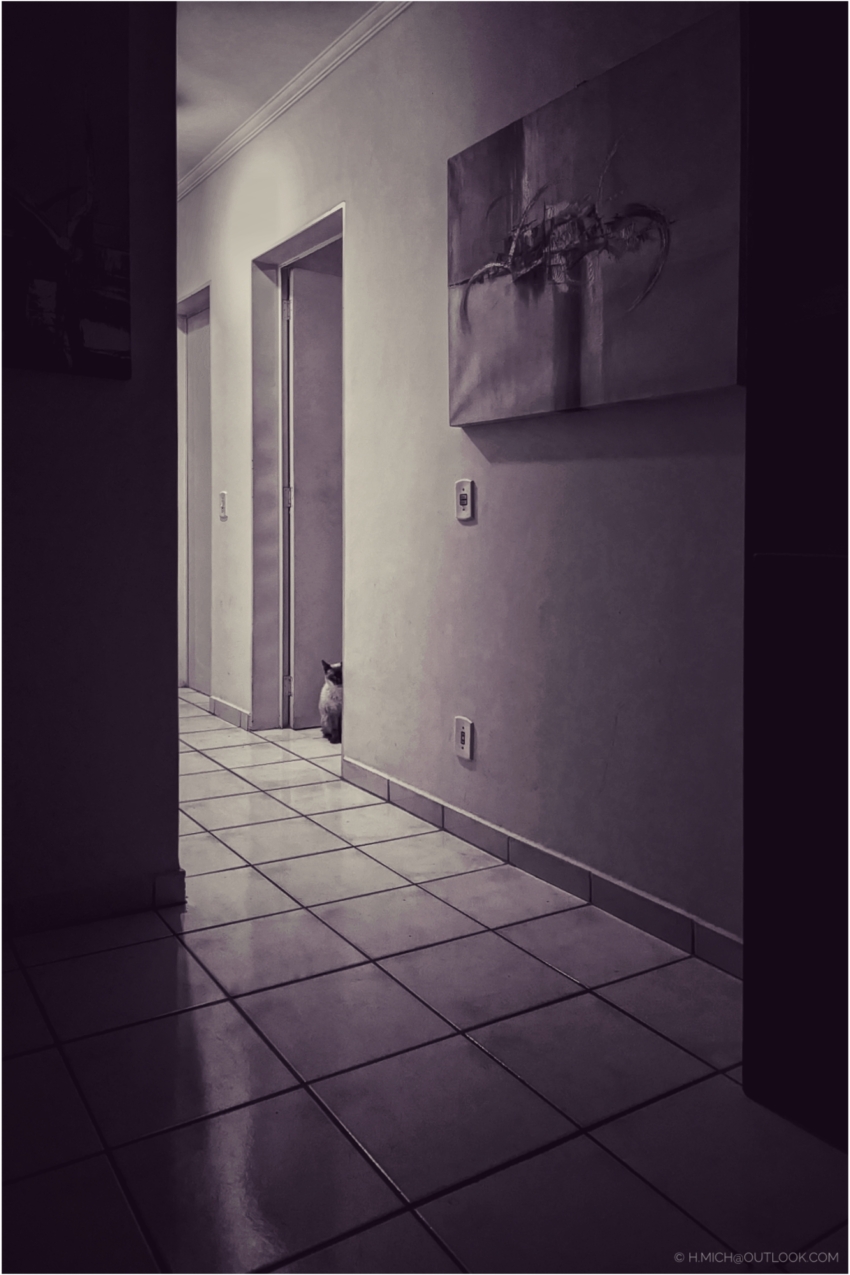 Studio-One.Art.br Repo Fotografia em Rio Preto SP/Brasil