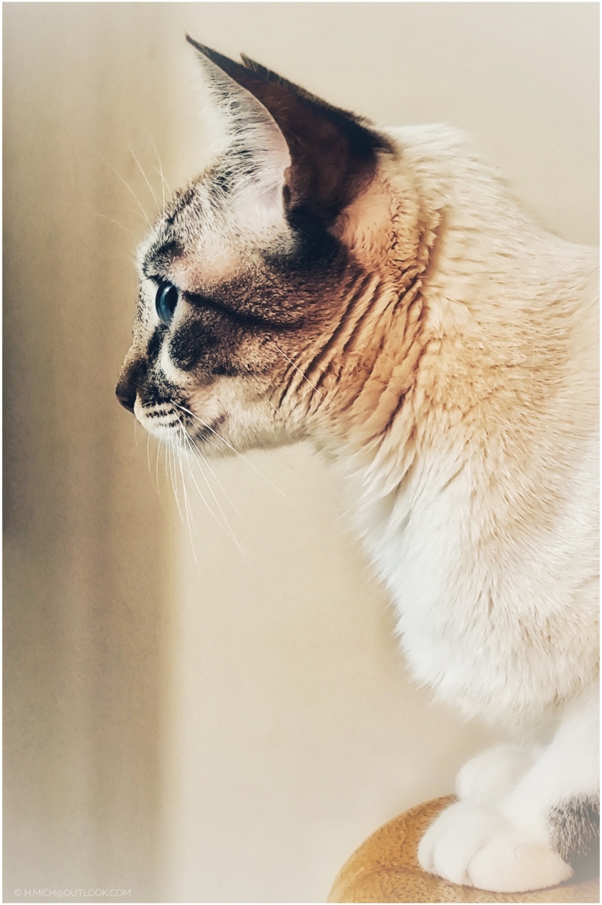 Studio-One.Art.br Repo Fotografia em Rio Preto SP/Brasil