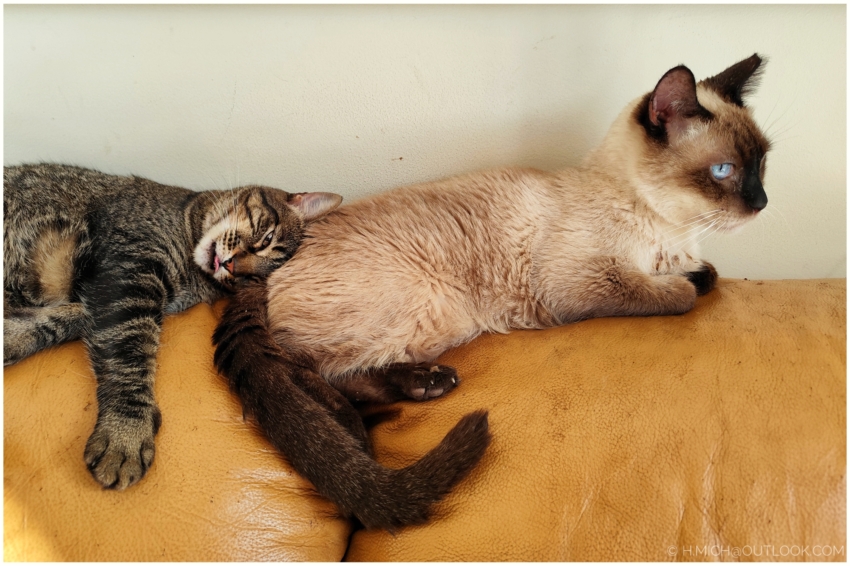 Studio-One.Art.br Repo Fotografia em Rio Preto SP/Brasil