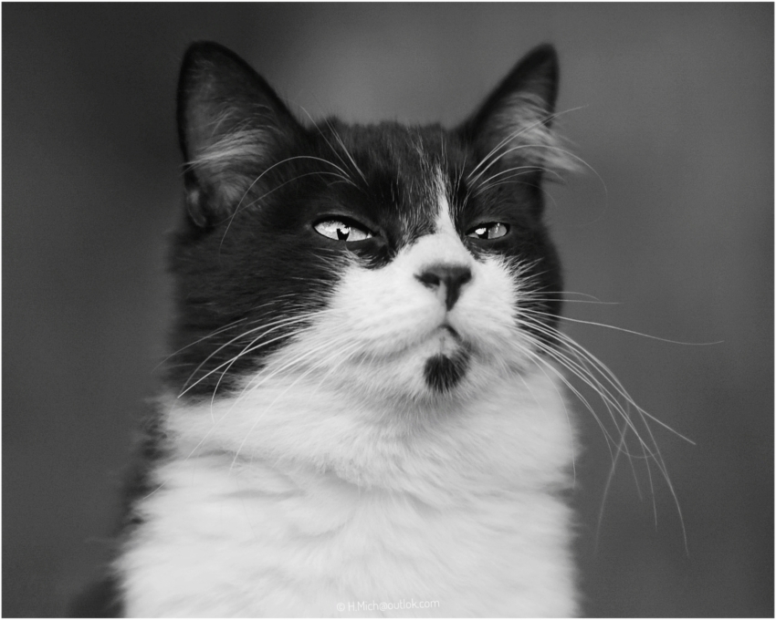 Studio-One.Art.br Repo Fotografia em Rio Preto SP/Brasil