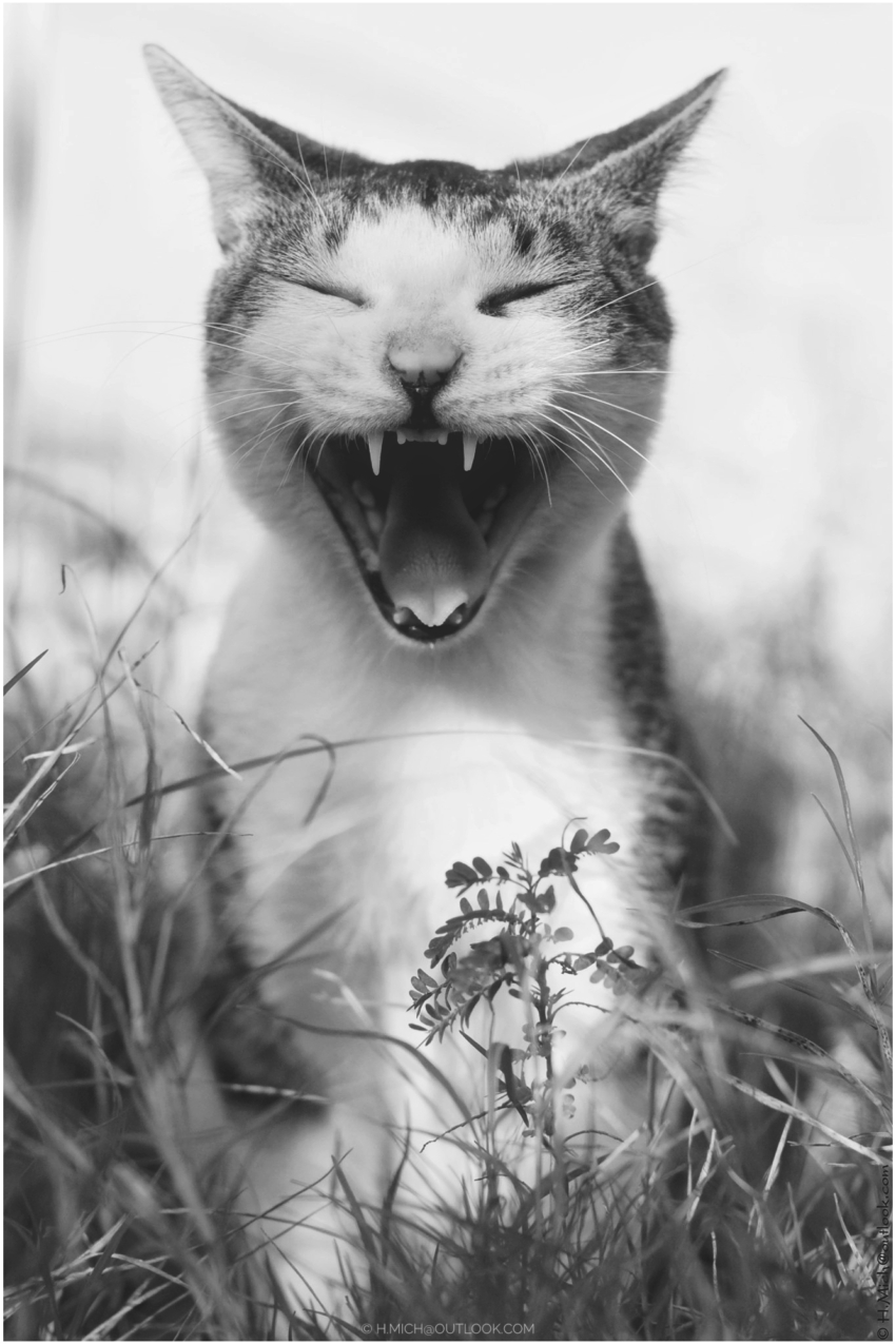 Studio-One.Art.br Repo Fotografia em Rio Preto SP/Brasil