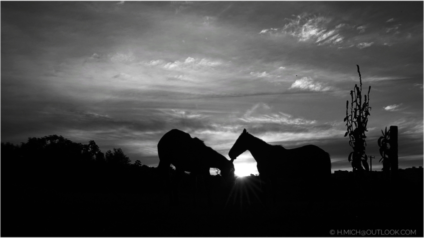 Studio-One.Art.br Repo Fotografia em Rio Preto SP/Brasil