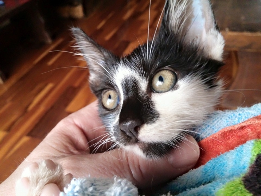 Studio-One.Art.br Repo Fotografia em Rio Preto SP/Brasil