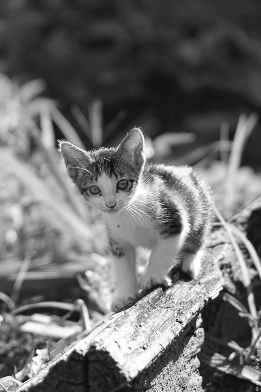 Studio-One.Art.br Repo Fotografia em Rio Preto SP/Brasil