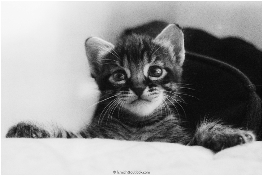 Studio-One.Art.br Repo Fotografia em Rio Preto SP/Brasil