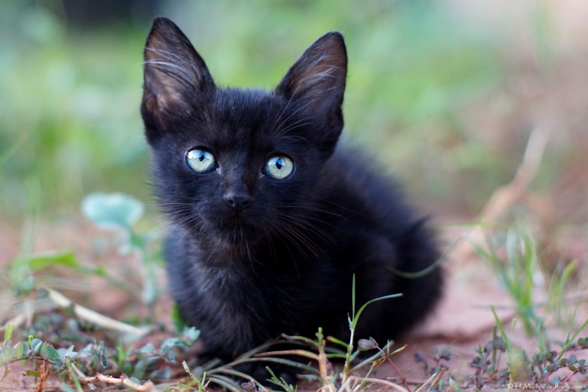 Studio-One.Art.br Repo Fotografia em Rio Preto SP/Brasil