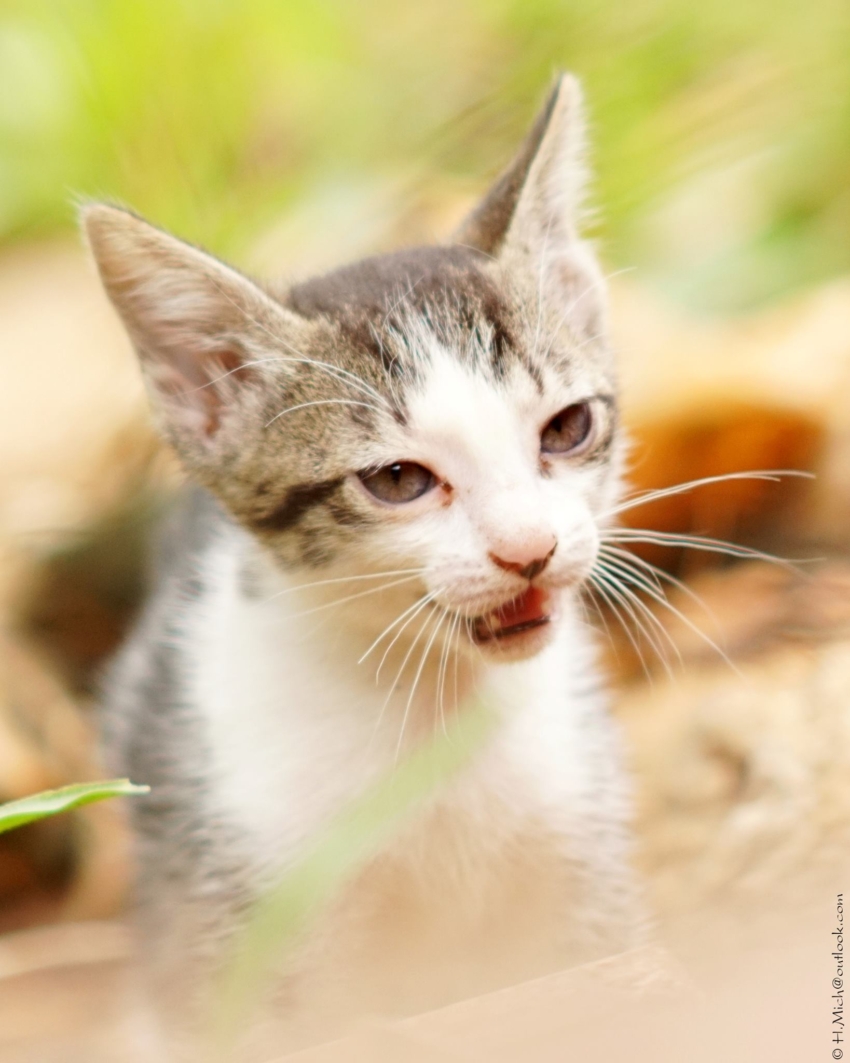 Studio-One.Art.br Repo Fotografia em Rio Preto SP/Brasil