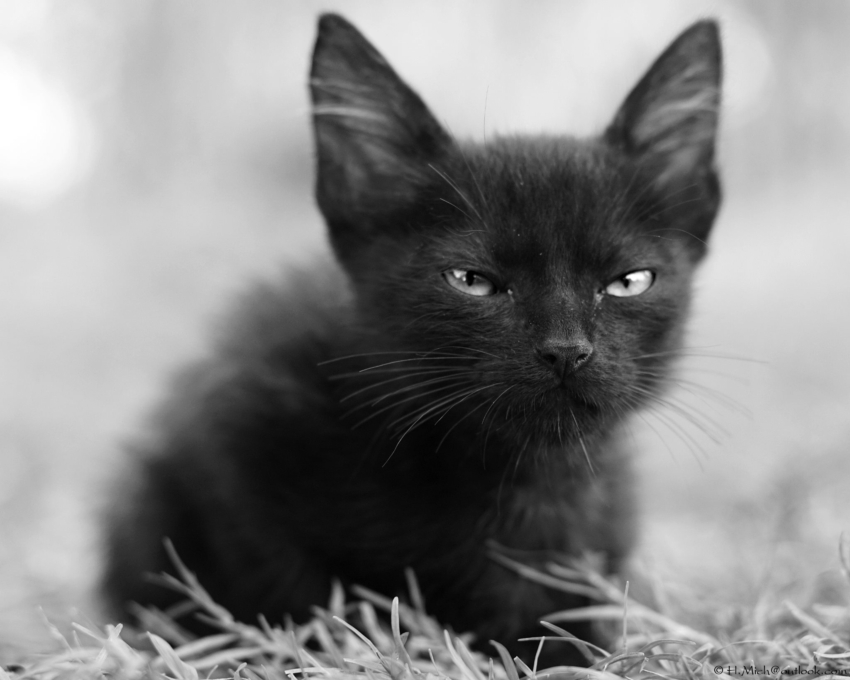 Studio-One.Art.br Repo Fotografia em Rio Preto SP/Brasil