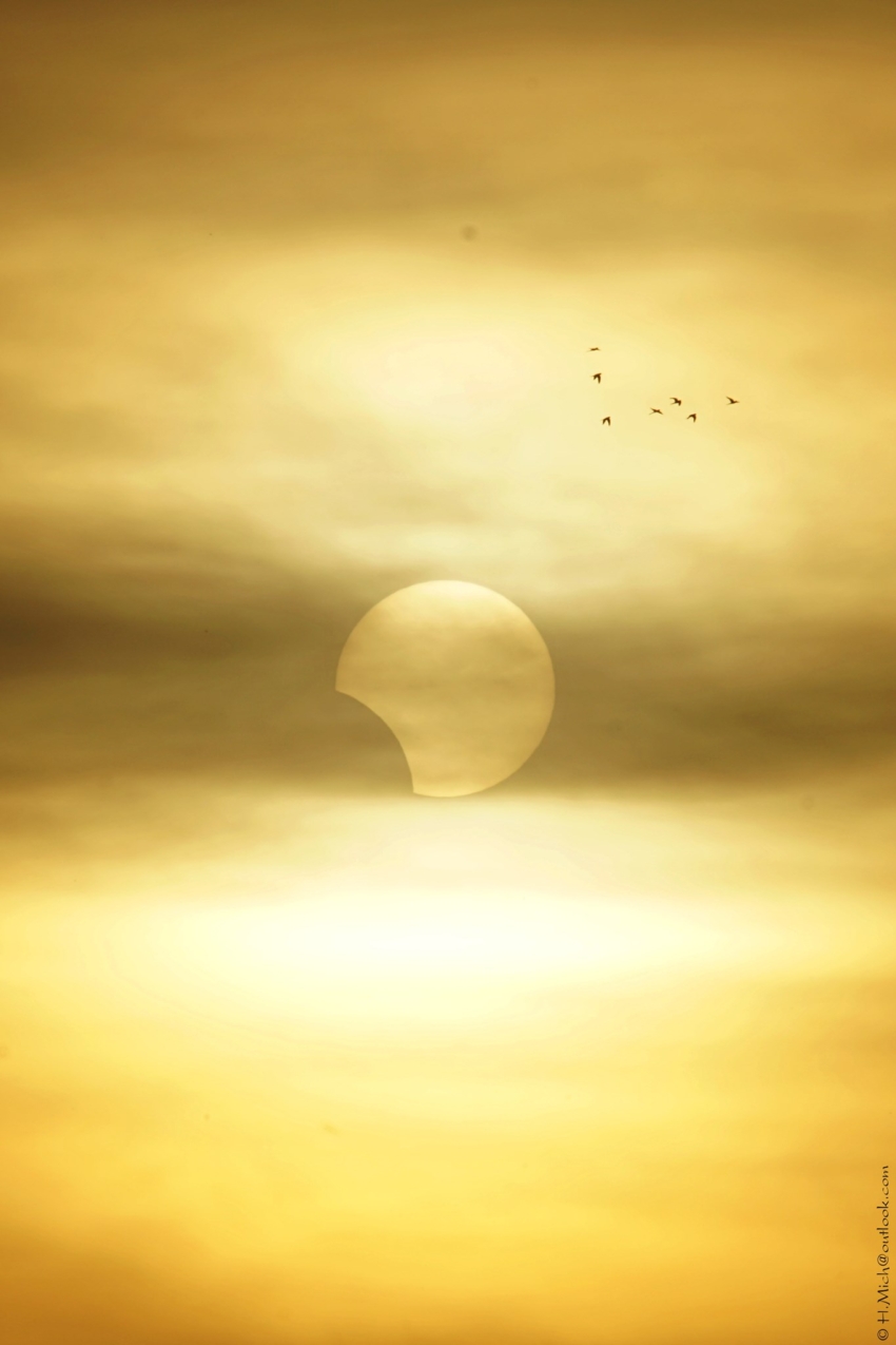 Studio-One.Art.br Repo Fotografia em Rio Preto SP/Brasil