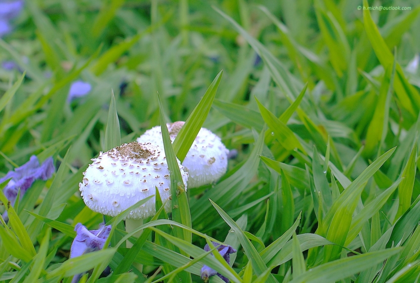 Studio-One.Art.br Repo Fotografia em Rio Preto SP/Brasil