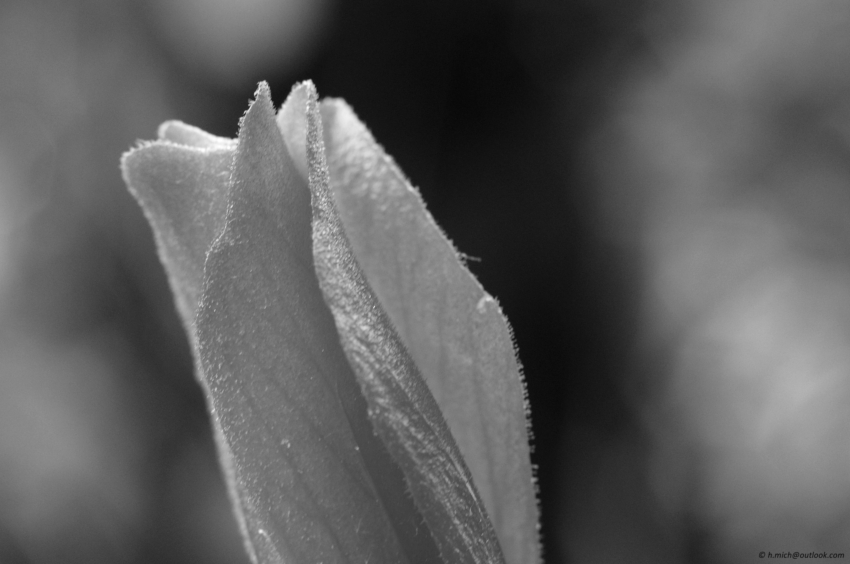 Studio-One.Art.br Repo Fotografia em Rio Preto SP/Brasil