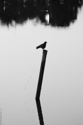 2022 06 15(100)