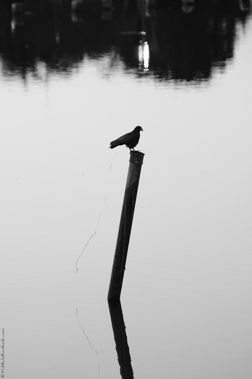 Studio-One.Art.br Repo Fotografia em Rio Preto SP/Brasil