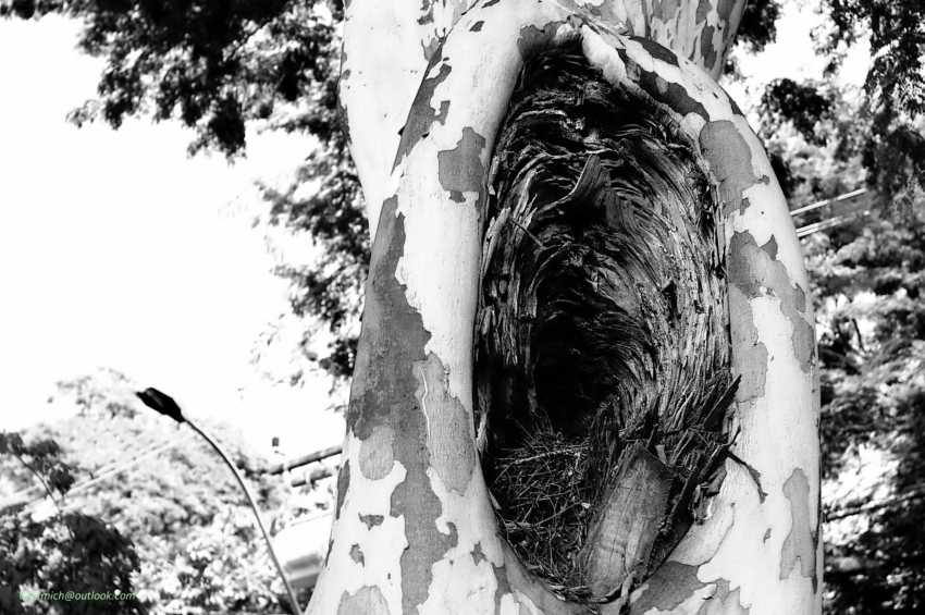 Studio-One.Art.br Repo Fotografia em Rio Preto SP/Brasil