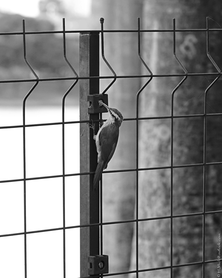 Studio-One.Art.br Repo Fotografia em Rio Preto SP/Brasil