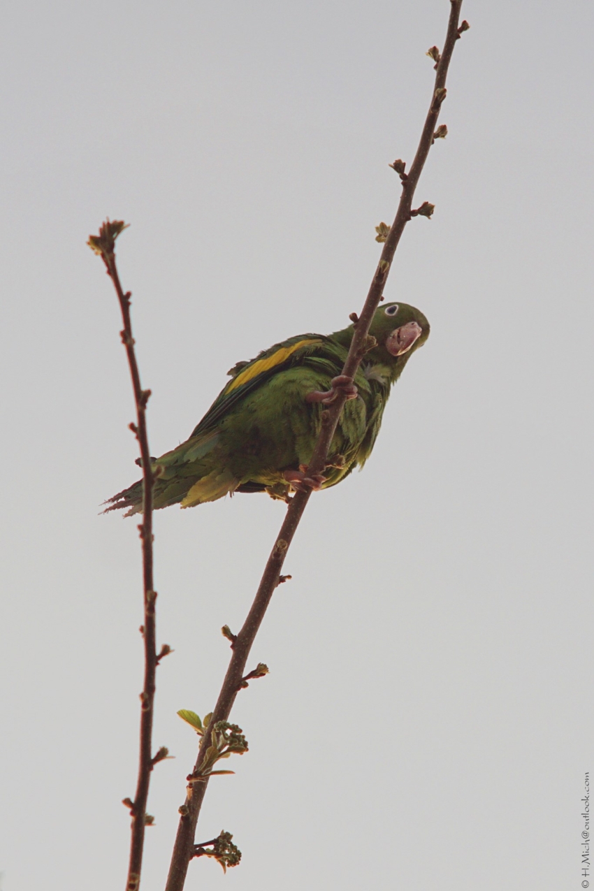 Studio-One.Art.br Repo Fotografia em Rio Preto SP/Brasil