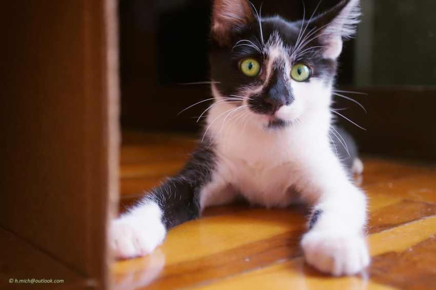 Studio-One.Art.br Repo Fotografia em Rio Preto SP/Brasil