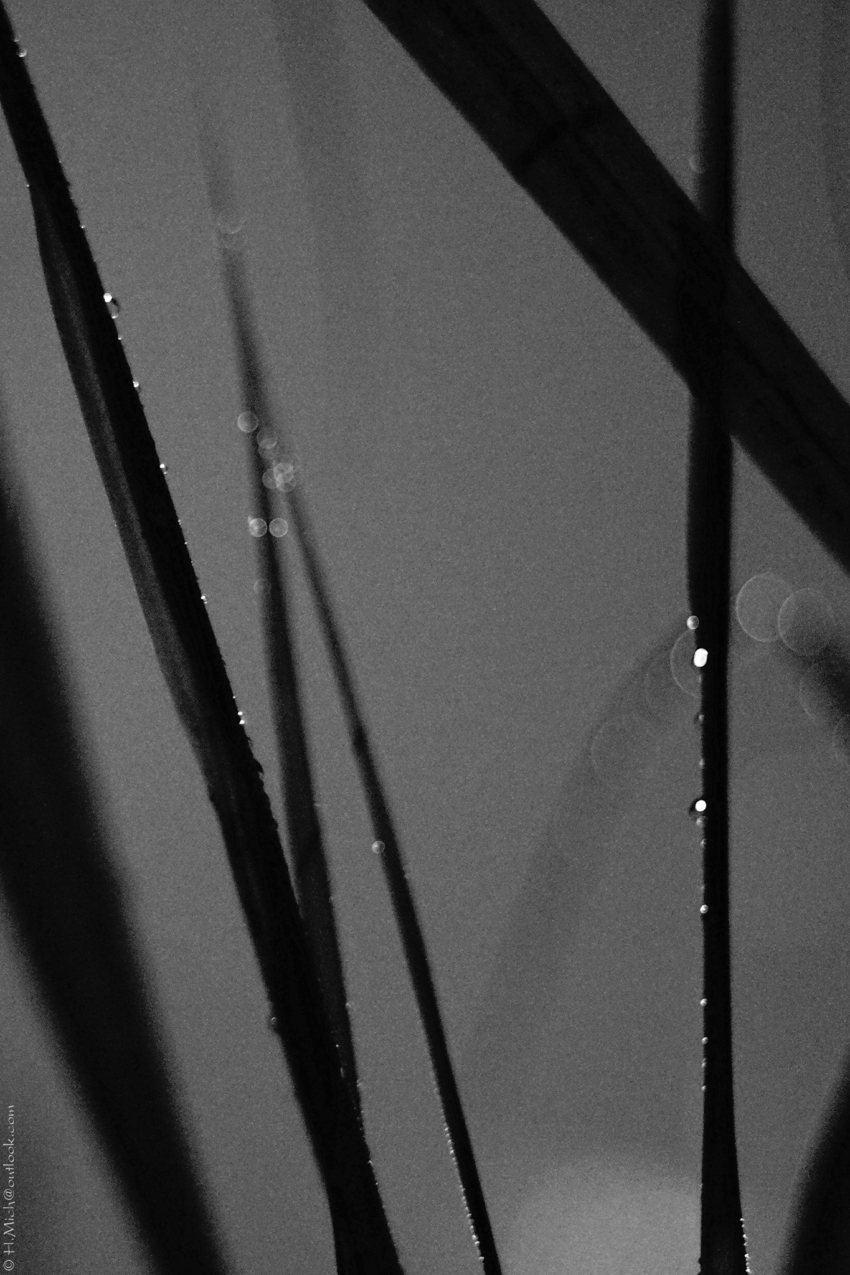 Studio-One.Art.br Repo Fotografia em Rio Preto SP/Brasil