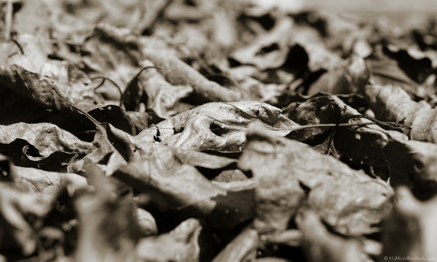 Studio-One.Art.br Repo Fotografia em Rio Preto SP/Brasil