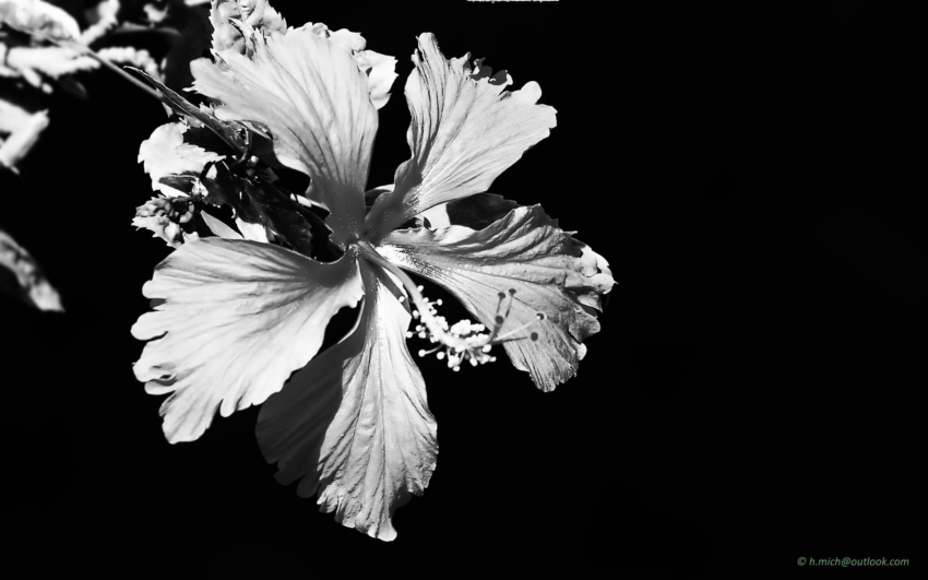 Studio-One.Art.br Repo Fotografia em Rio Preto SP/Brasil