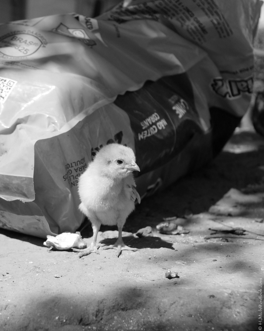 Studio-One.Art.br Repo Fotografia em Rio Preto SP/Brasil