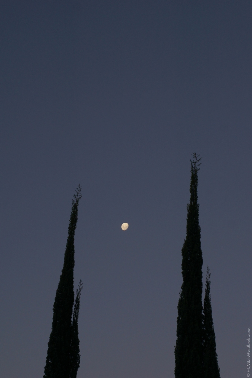 Studio-One.Art.br Repo Fotografia em Rio Preto SP/Brasil