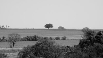 2022 06 15(106)