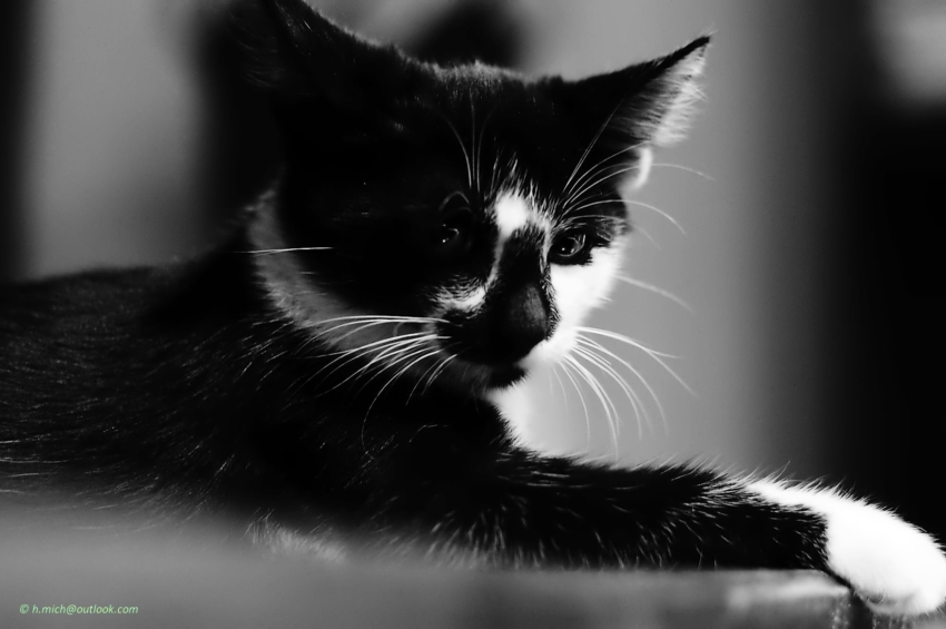 Studio-One.Art.br Repo Fotografia em Rio Preto SP/Brasil