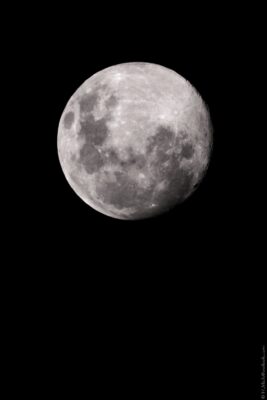 2022 06 15(108)