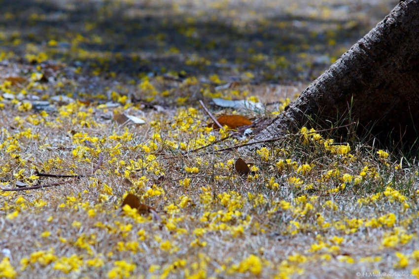 Studio-One.Art.br Repo Fotografia em Rio Preto SP/Brasil