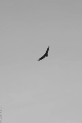 2022 06 15(109)