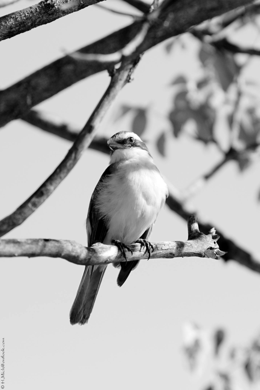 Studio-One.Art.br Repo Fotografia em Rio Preto SP/Brasil