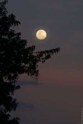 2022 06 15(11)