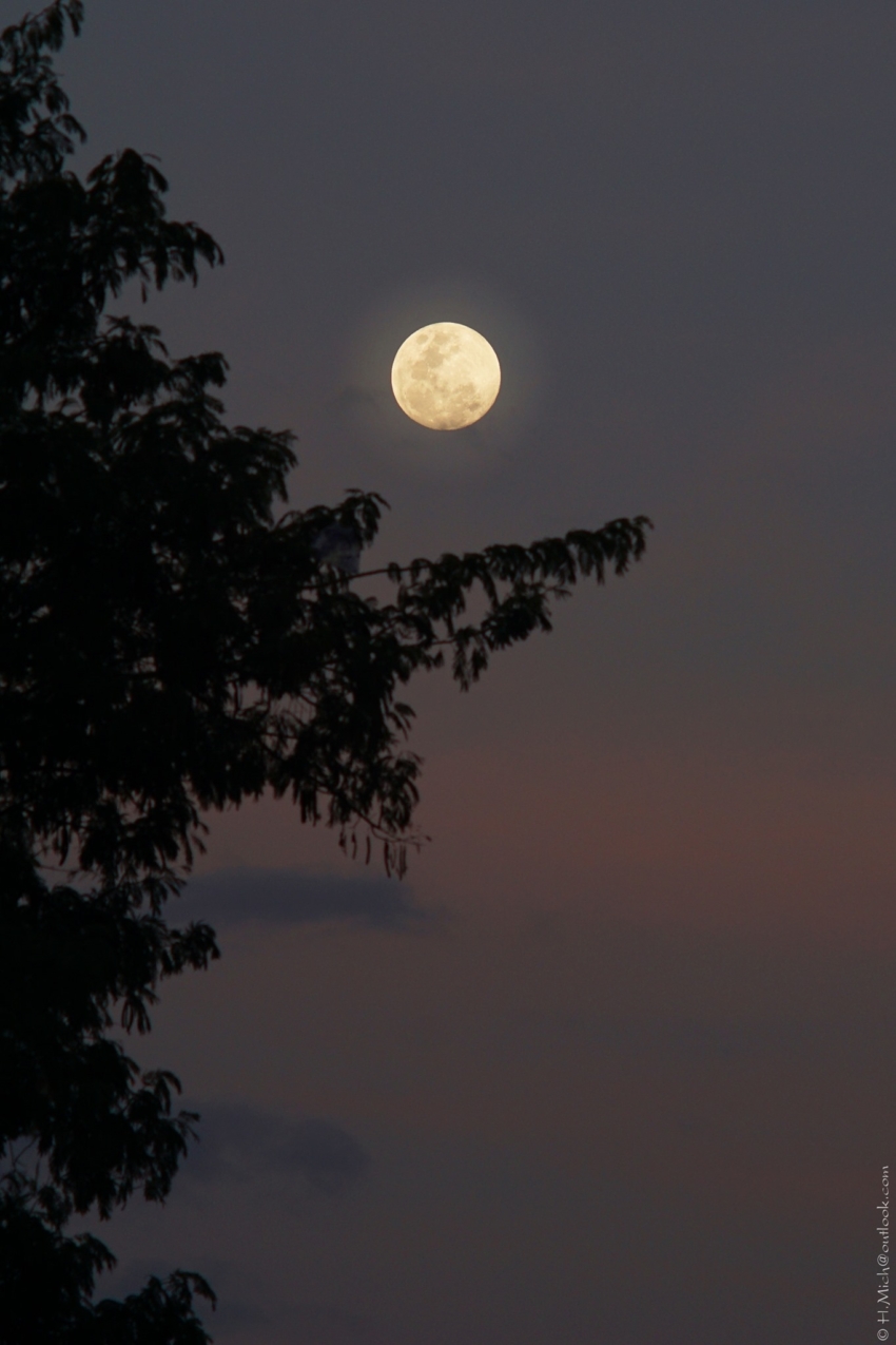 Studio-One.Art.br Repo Fotografia em Rio Preto SP/Brasil