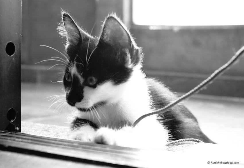 Studio-One.Art.br Repo Fotografia em Rio Preto SP/Brasil