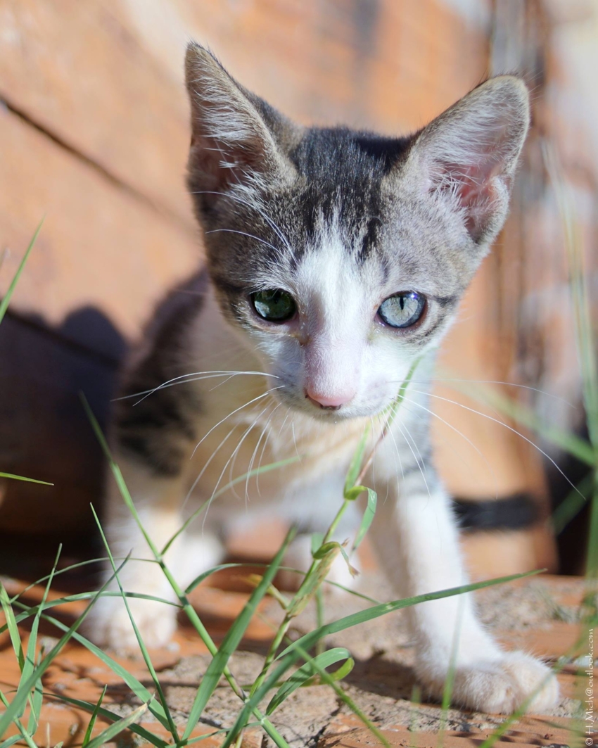 Studio-One.Art.br Repo Fotografia em Rio Preto SP/Brasil