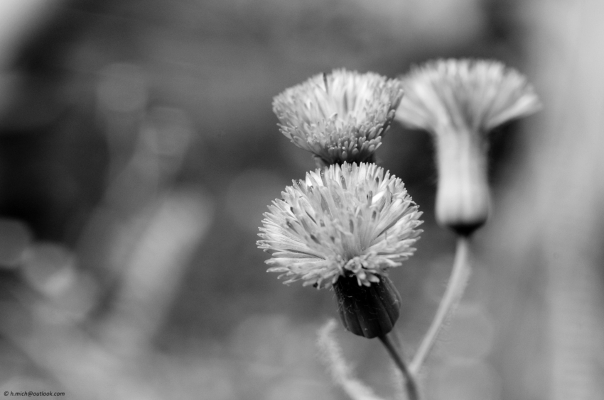 Studio-One.Art.br Repo Fotografia em Rio Preto SP/Brasil