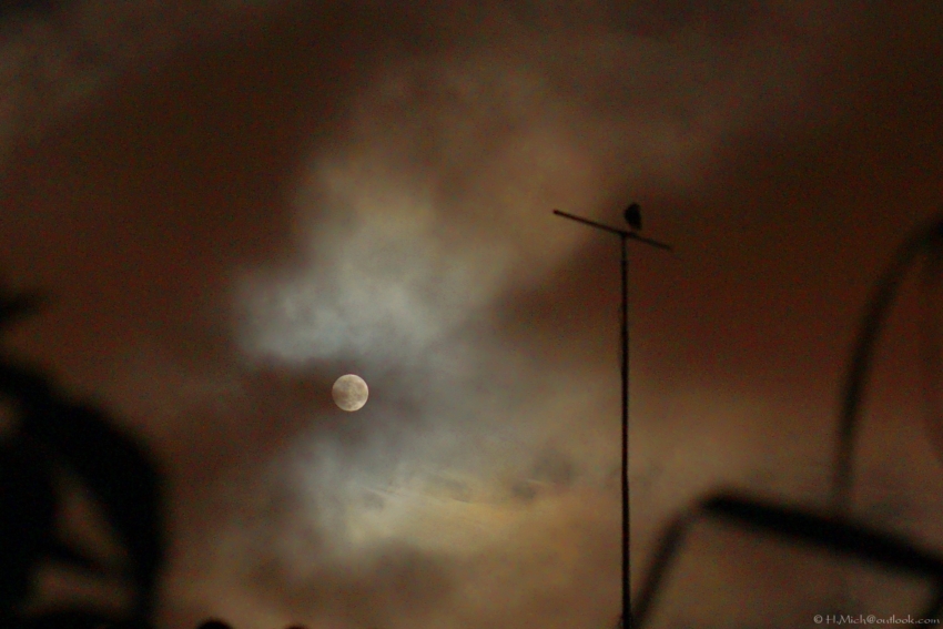 Studio-One.Art.br Repo Fotografia em Rio Preto SP/Brasil