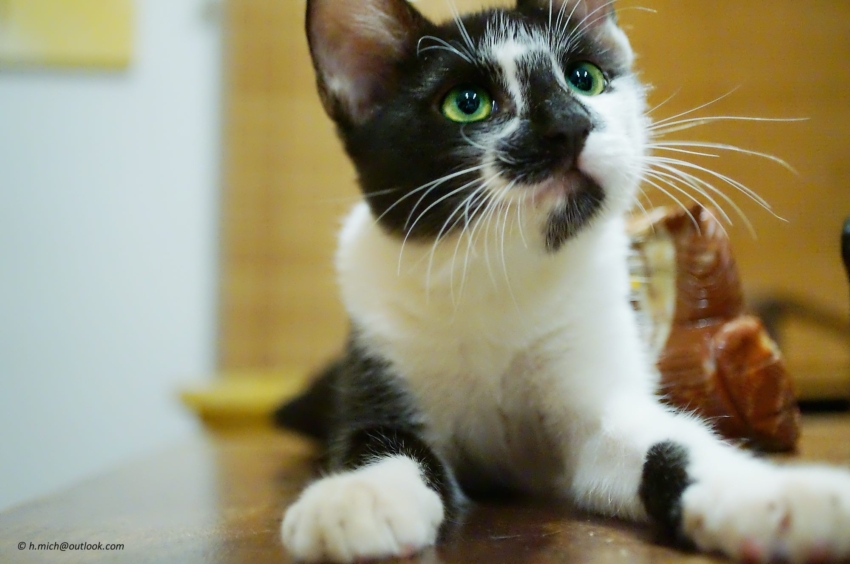 Studio-One.Art.br Repo Fotografia em Rio Preto SP/Brasil