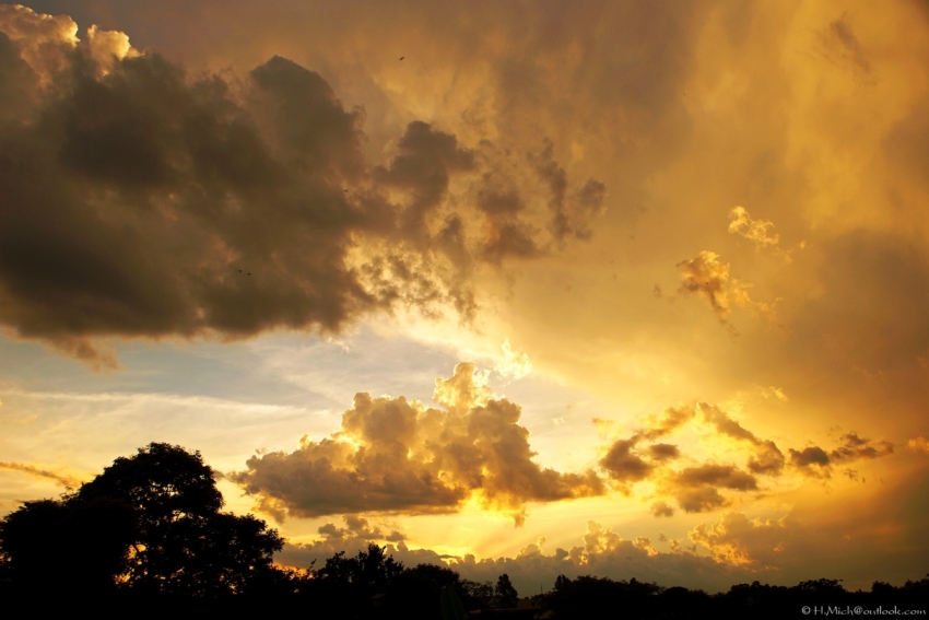 Studio-One.Art.br Repo Fotografia em Rio Preto SP/Brasil